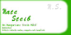 mate steib business card